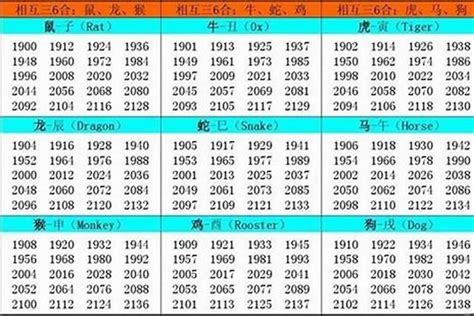 2006屬什麼|2006年是什麼生肖年，2006年屬什麼生肖